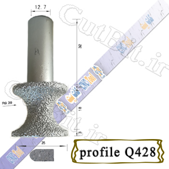profile Q428